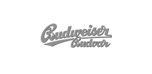 Budweiser_Budvar_szare_new